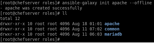 ansible-galaxy command